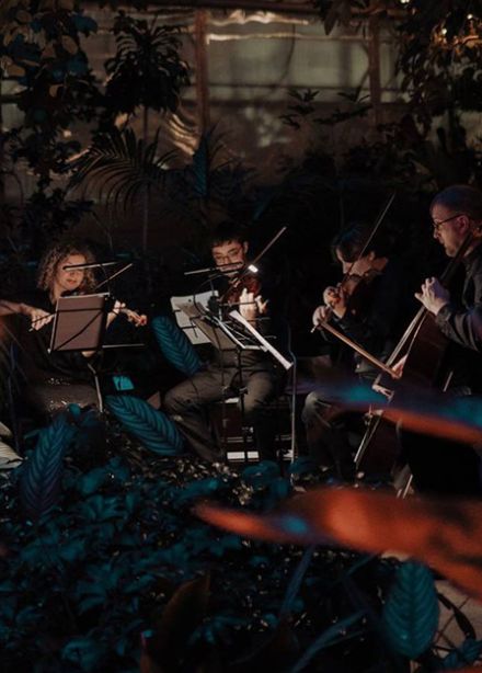 МАГИЯ СВЕЧЕЙ. “От Баха до рок-хитов" в Оранжерее