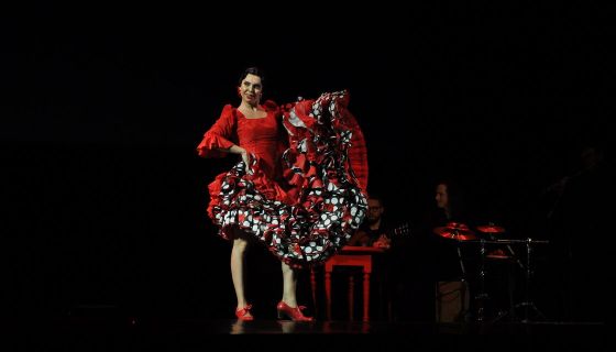 Спектакль «Кармен. Фламенко»