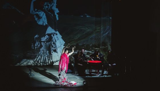 Спектакль «Кармен. Фламенко»