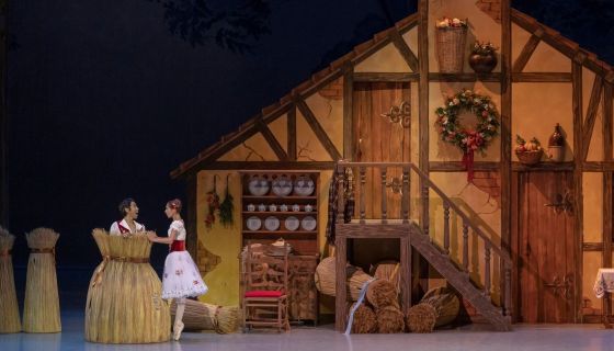 Балет «Тщетная предосторожность»