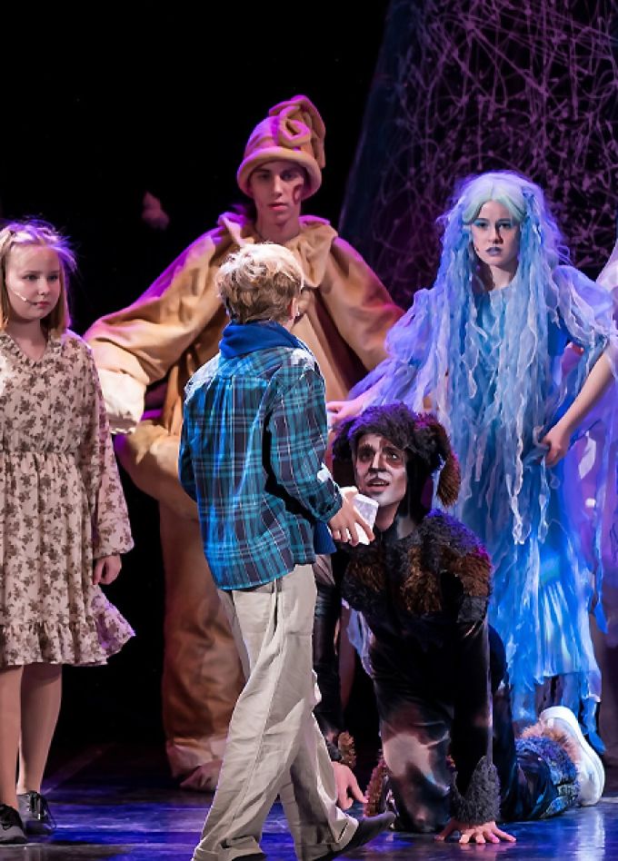 Синяя птица (Санкт-Петербургский Музыкально-драматический театр "Синяя птица")