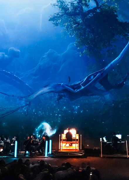 Аватар. Музыкальное шоу в Планетарии