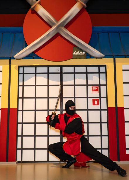 Школа ниндзя