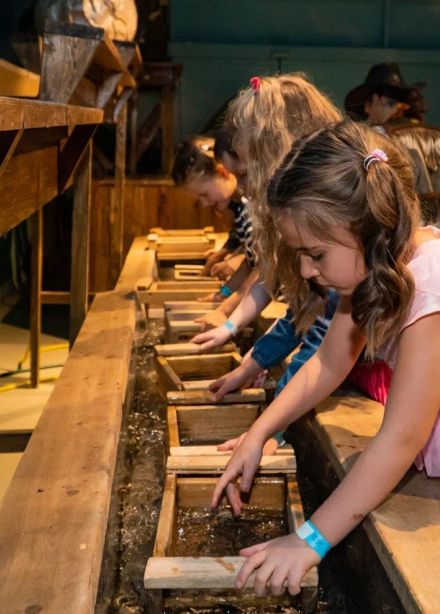 Золотой рудник