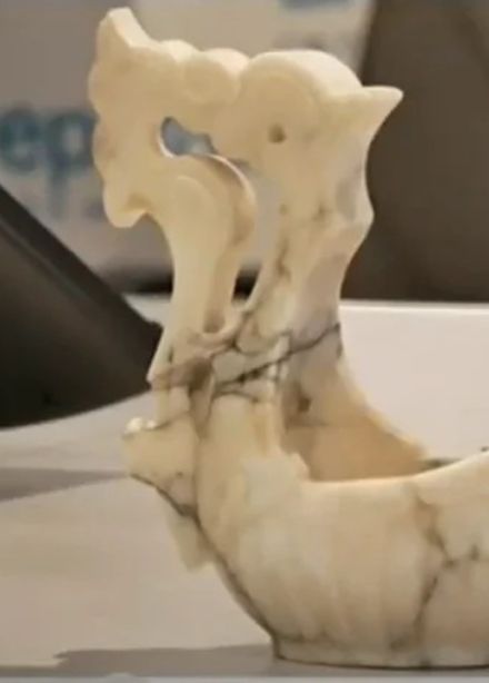 Династии Севенардов-Кшесинских