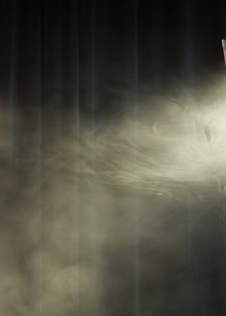 Шекспир и Зейдлер. Лирический дневник