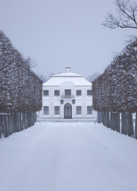 Петергоф. Большой Императорский дворец