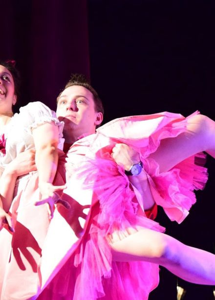 Занимательная стервология