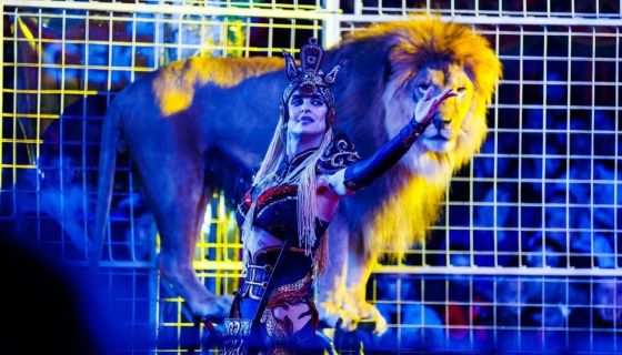 Шоу бенгальских тигров