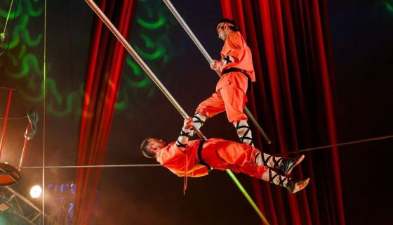 Шоу бенгальских тигров