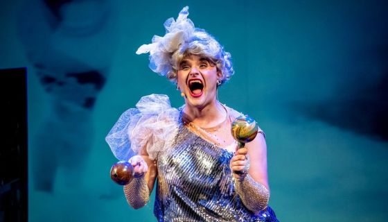 Мюзикл «В джазе только девушки»