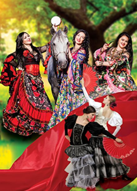 Концерт-шоу "У цыганского шатра"