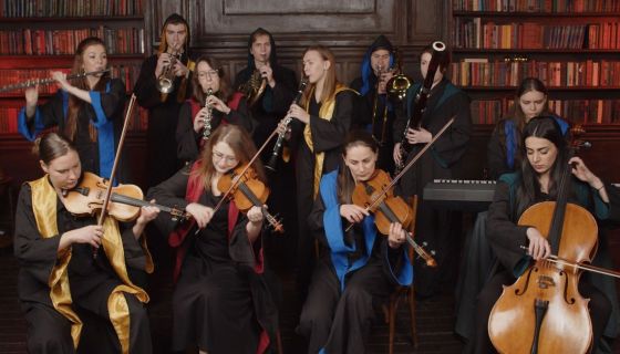 Оркестр Sonorus. Гарри Поттер