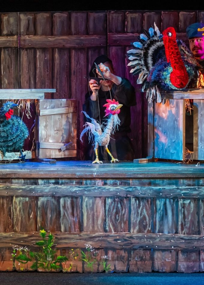 Храбрый петух по имени Али-Баба