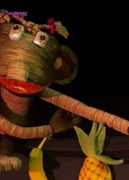 Как обезьянка доктором стала