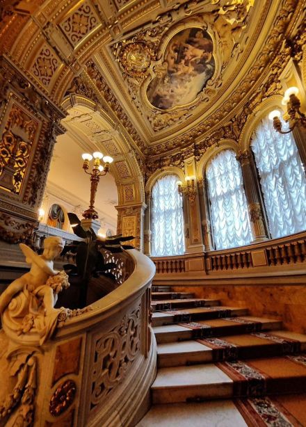 Экскурсия во Владимирский дворец