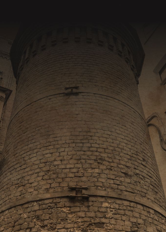 Аптека доктора Пеля: наука, алхимия и тайны Башни Грифонов