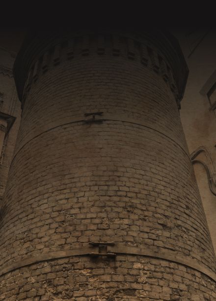 Аптека доктора Пеля: наука, алхимия и тайны Башни Грифонов