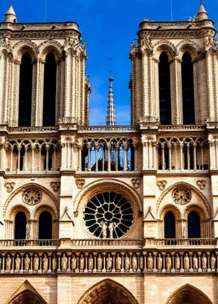Notre Dame de Paris. Орган и солисты в соборе при свечах