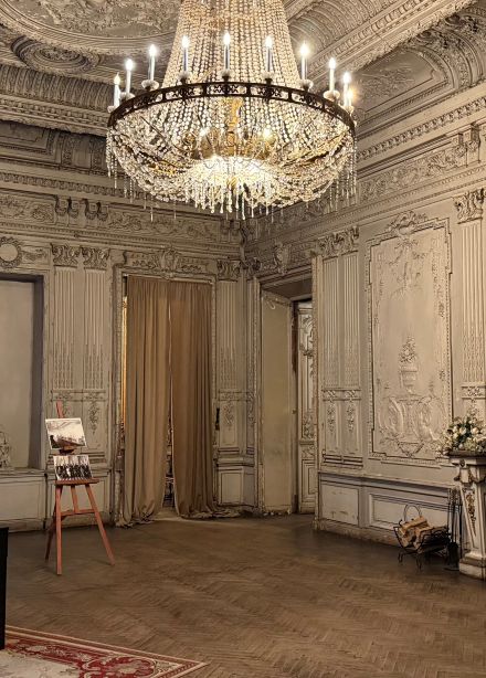 Тайны особняка Брусницыных