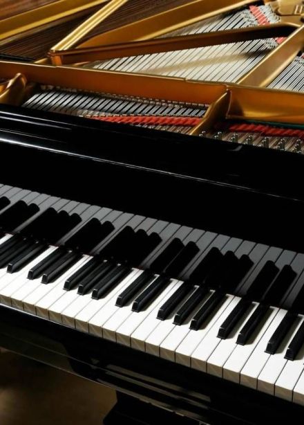 Концерт «Шопен, Брамс»