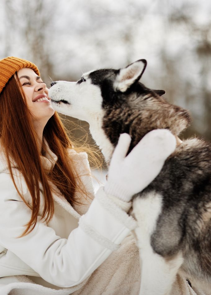 Карелия за 1 день: Рускеала, хаски, водопады