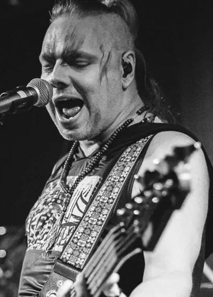 Скворцы Степанова