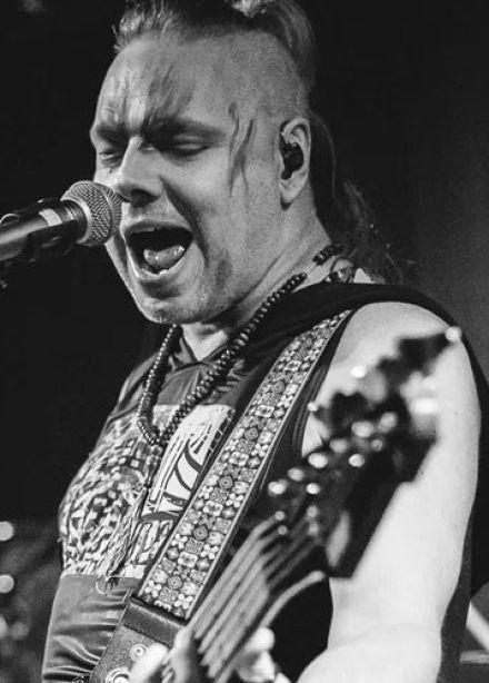 Скворцы Степанова