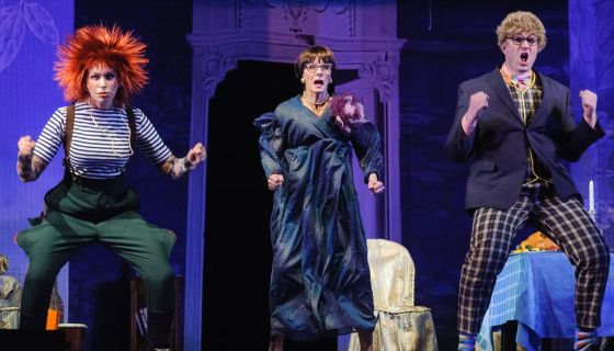 Спектакль «Ловушка для мужа»