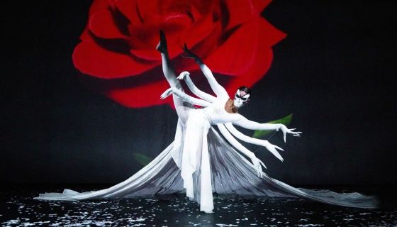 Цирковое шоу «Тайна зеркальных иллюзий»