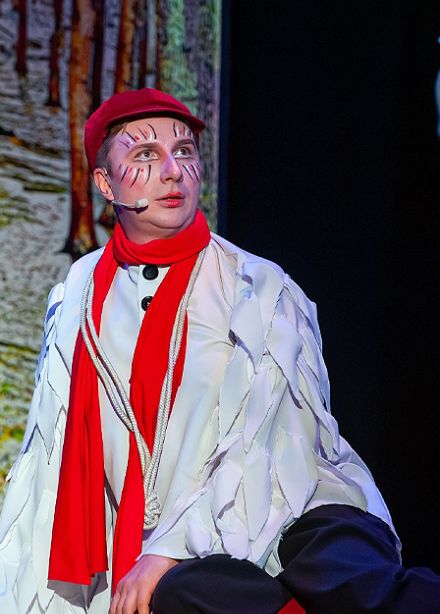 "Путешествие Нильса с дикими гусями" (Санкт-Петербургский Музыкально-драматический театр "Синяя птица")