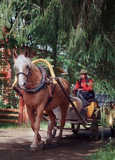 Сказка в русской деревне Мандроги