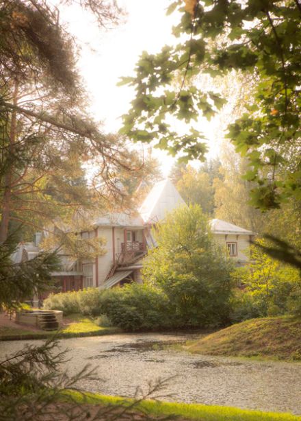 Входной билет на посещение парка музея-усадьбы И.Е. Репина "Пенаты"