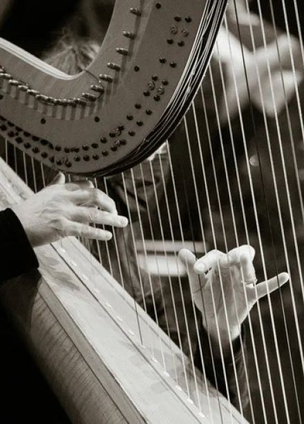 Концерт «Музыкальное будущее России»