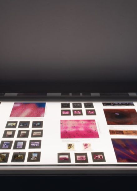 Экскурсия по экспозиции «Фотография. Изобретая цвет»