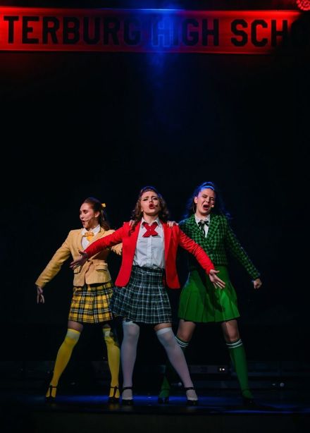 Мюзикл «Дорогой дневник»