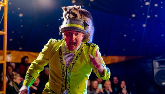 Цирк-шапито «Премьер». Шоу «Карнавал», Горелово