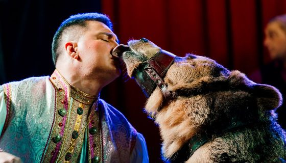 Цирк-шапито «Премьер». Шоу «Карнавал», Горелово