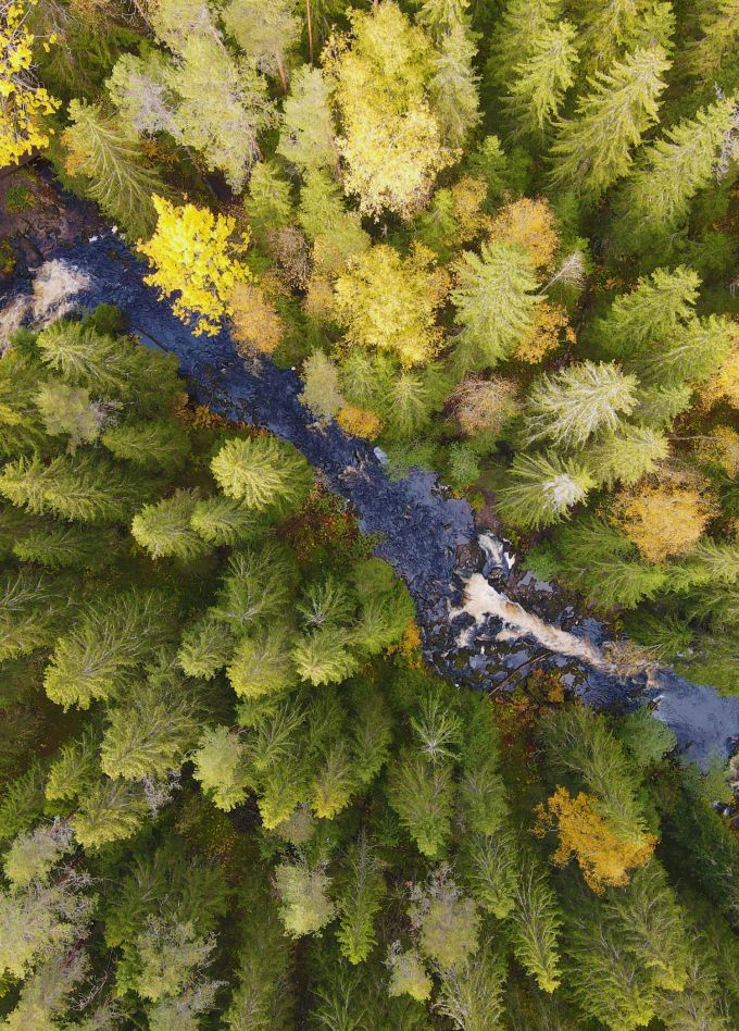 В Рускеалу на ретропоезде: Водопады и мраморный каньон