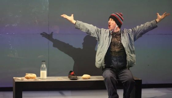 Моноспектакль «Школа для дураков»