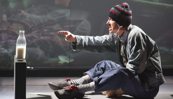 Моноспектакль «Школа для дураков»