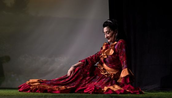 Спектакль «Богатые невесты»