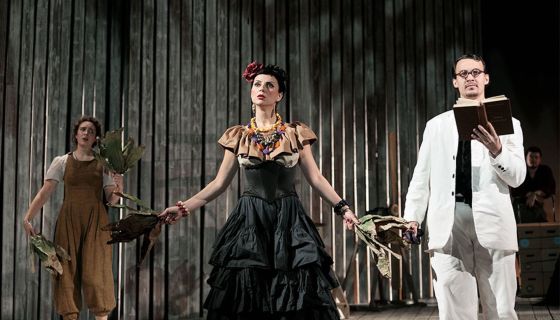 Спектакль «Анна Каренина в тропиках»