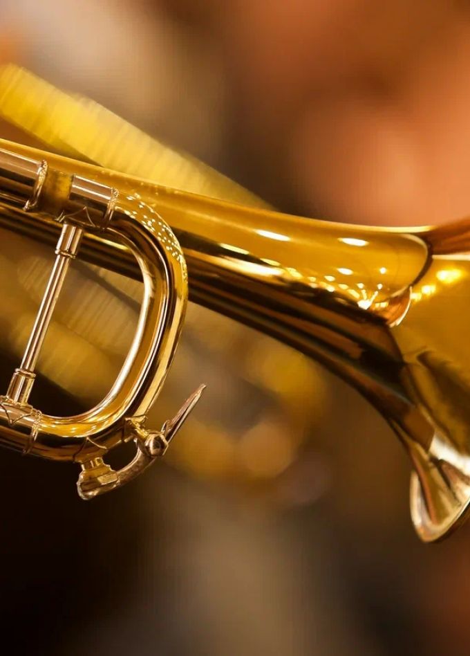 Мелодии за бокалом: вечер живой музыки