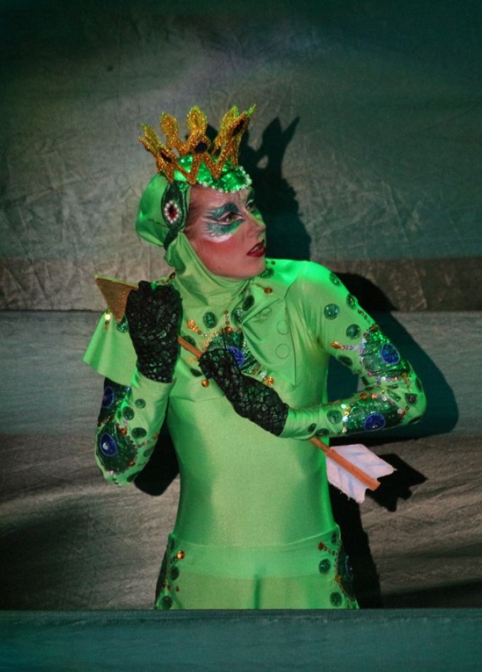 Сказка о Василисе Прекрасной, или Царевна-лягушка