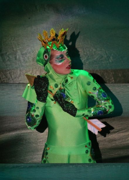 Сказка о Василисе Прекрасной, или Царевна-лягушка