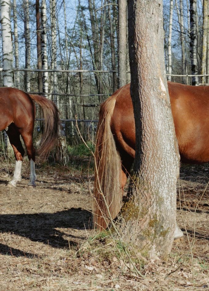 Евгений Ткачук. Природа перезагрузки