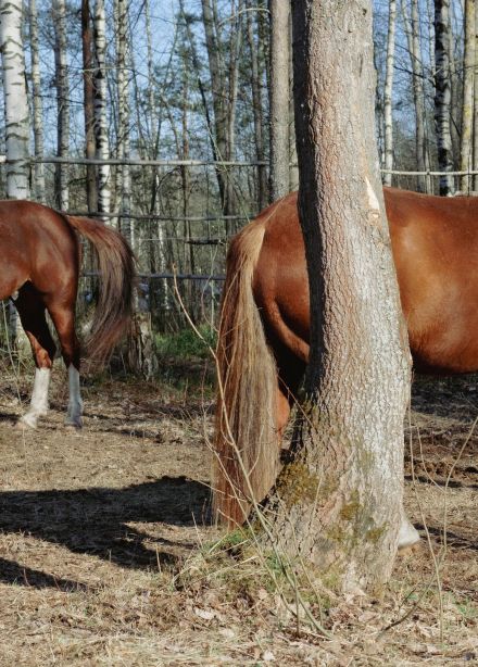 Евгений Ткачук. Природа перезагрузки