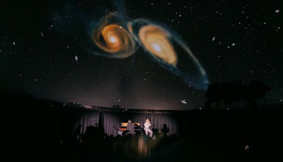 Концерт «Frank Sinatra. Трибьют под звёздами»