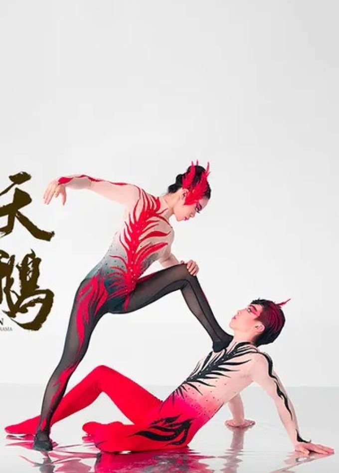 Спектакль «Лебедь»